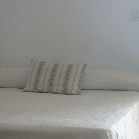 El Roque 205 - Sustainability Off The Beaten Track 塔科龙特 外观 照片